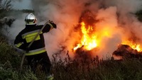 Масштабна пожежа на півночі Рівненщини: горить сухостій
