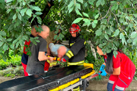 Пенсіонер у Рівному впав з дерева на металеву огорожу (ФОТО)