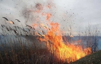 На Рівненщині згорів гектар пасовища