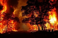 Лісівники Рівненщини відстежують підпали за допомогою камер відеоспостереження (ФОТО)