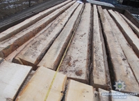На Рівненщині вилучили вантажівку з незаконною деревиною (ФОТО) 