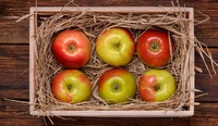 Як зберегти яблука свіжими до самої весни: перевірені способи
