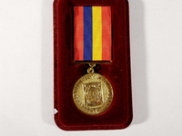 Чугунніков отримав медаль