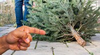Коли і як викидати новорічну ялинку, щоб не втратити достаток та щастя: народні прикмети