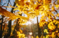 Чому 30 вересня не можна ходити в гості: народні прикмети