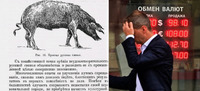 Рубль «затрьохсотили»: Юрій Луценко порівняв ситуацію в РФ із «російською свинею» (ФОТО)