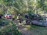 На автомобіль впало дерево: Рятувальники Рівненщини показали, якої біди наробила негода (ФОТО)
