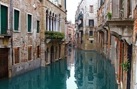 Коронавірус рятує природу: канали Венеції стали неймовірно чистими (ФОТО/ВІДЕО)