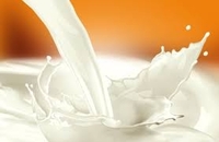 Скільки молока дають корови Рівненщини?