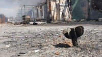 «Пекло» повториться: Зеленський терміново звернувся до українців