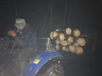 На Березнівщині зупинили лісокрадів на автомобілі (ФОТО)