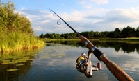 Коли у липні не варто вирушати на риболовлю: календар рибалки