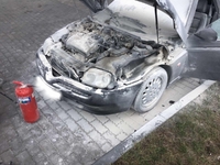 Спорткар Alfa Romeo загорівся біля заправки на трасі Київ-Чоп (ФОТО)