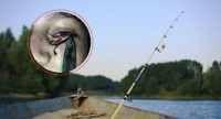 Увігнав гачок з блешні собі в обличчя: на Рівненщині оперували 9-річного рибалку (ФОТО)