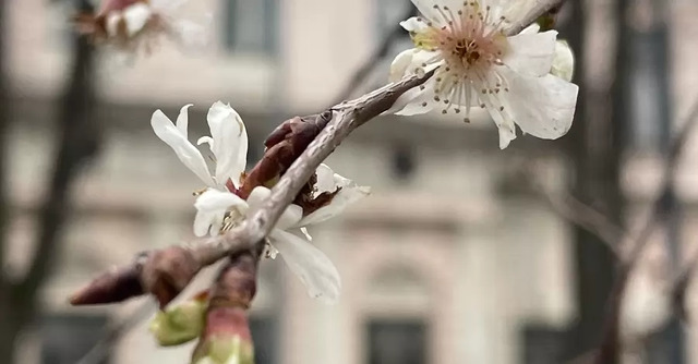 Фото з мережі