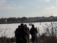 Весь день на Рівненщині рятували пораненого лебедя (ФОТО)