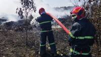 На Рівненщині — масштабна пожежа на полігоні 