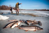 Коли у січні варто вирушати на риболовлю: місячний календар рибалки