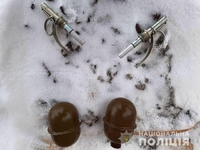 «Ось це так заробіток»: житель Рівненщини продавав гранати (ФОТО)