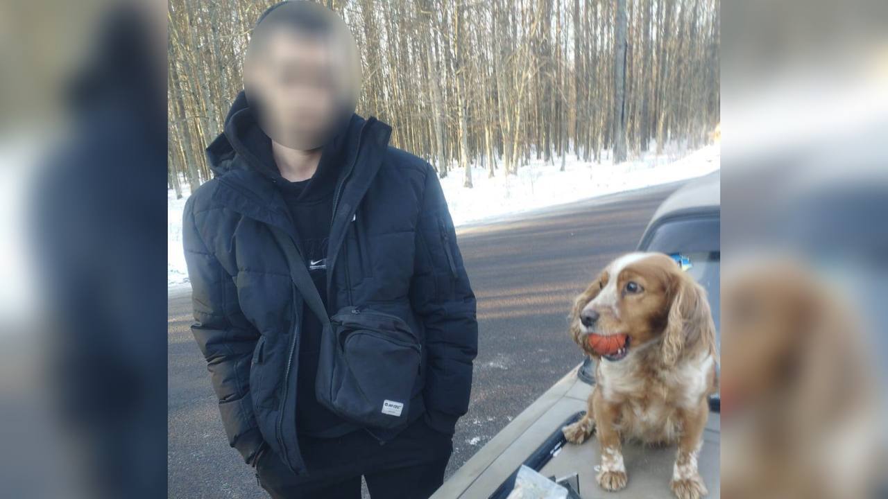 Чотирилапа прикордонниця: службова собака Дора виявила наркотики в авто на Рівненщині