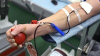Здали кров вже понад 100 разів: скільки на Рівненщині заслужених і почесних донорів 