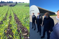 Посівна 2020: чи буде врожай зернових на Рівненщині (ФОТО)