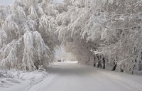 Що робили 28 січня, щоб захистити оселю від нечистої сили: народні прикмети