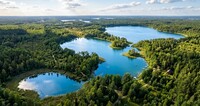 Справжній рай знайшли на Поліссі: три озера серед лісу, де майже немає людей (ВІДЕО)