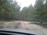 Штрафи за в'їзд на авто у ліс загрожують на Рівненщині