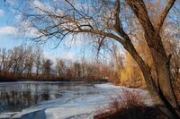 Що викидали 2 грудня із дому, щоб притягнути гроші: народні прикмети