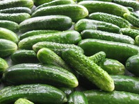 Майже по 100 грн за кілограм: в супермаркетах стрімко зросли ціни на огірки (ФОТО)