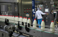 Молокозаводи без світла: наскільки подорожчає «молочка» у магазинах