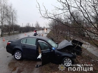 Загинуло четверо людей у ДТП, спричиненій BMW на Житомирщині (3 ФОТО)