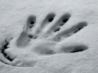 17-річний хлопець-сирота замерз у полі: на Житомирщині знову трагічно загинула молода людина