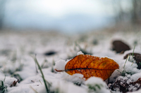 У двох частинах України прогнозують заморозки: синоптики попередили про зміну погоди з 25 вересня