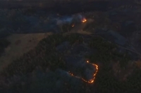 Через підпал сухостою на Рівненщині мало не загорівся ліс (ФОТО/ВІДЕО)
