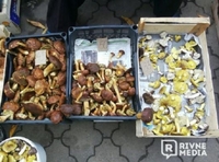 На продуктовому ринку Рівного – повно грибів. Ціни (ФОТО)