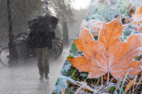 Дощі та заморозки: де в Україні буде некомфортна погода (СИНОПТИЧНІ КАРТИ)