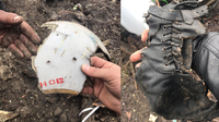 «Знайшли шматки пілота-окупанта», — показали останки фашиста під Києвом (ФОТО/ВІДЕО 18+)