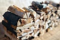 Як розпалити сирі дрова? Кілька дієвих порад, які з цим допоможуть