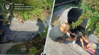 Дощу не було, а зливова каналізація «гула»: Екоінспектори звернулися до Рівнеради, щоб знайти порушника