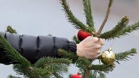 У місті на Рівненщині 32-річний Олексій вкрав ялинку з новорічної фотозони, щоб подарувати її (ФОТО)