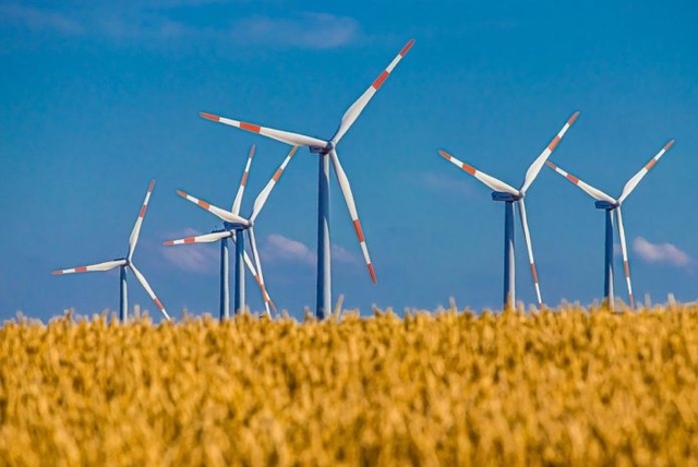 "Зелені" електростанції (вітрові, сонячні і т.д.) виробляють до 2% електроенергії, яка споживається в країні. Однак "зелена електроенергія" коштує ринку 8% всіх коштів, або близько 10 млрд грн за найвищими в Європі тарифами.