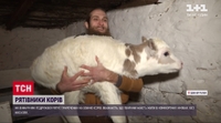 «Не хочете — буде тушонка», — селяни на Вінничині шантажують фермерів, які рятують корів