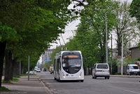Тролейбус до Нового Двору та Квасилова: в управлінні транспорту Рівного відповіли на петицію 