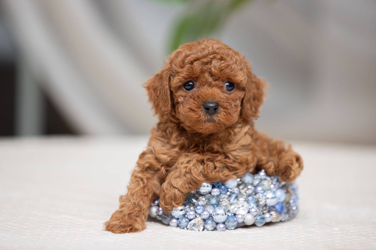 Фото з відкритих джерел