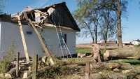 На Рівненщині дерево впало на житловий будинок (ФОТО)