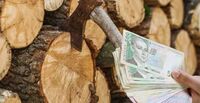 Українцям виплатять по 8000 грн на дрова: хто має право на допомогу