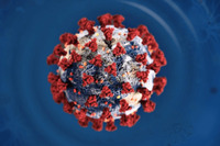 «Книга-мандрівка»: все, що треба знати про коронавірус