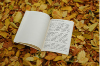 Природа як джерело натхнення: чому митці, письменники й дизайнери тікають у ліси